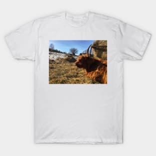 Scottish Highland Cattle Cow 2330 T-Shirt
